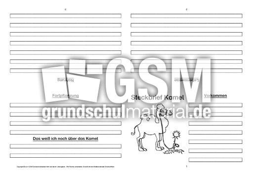 Kamel-Faltbuch-vierseitig-5.pdf